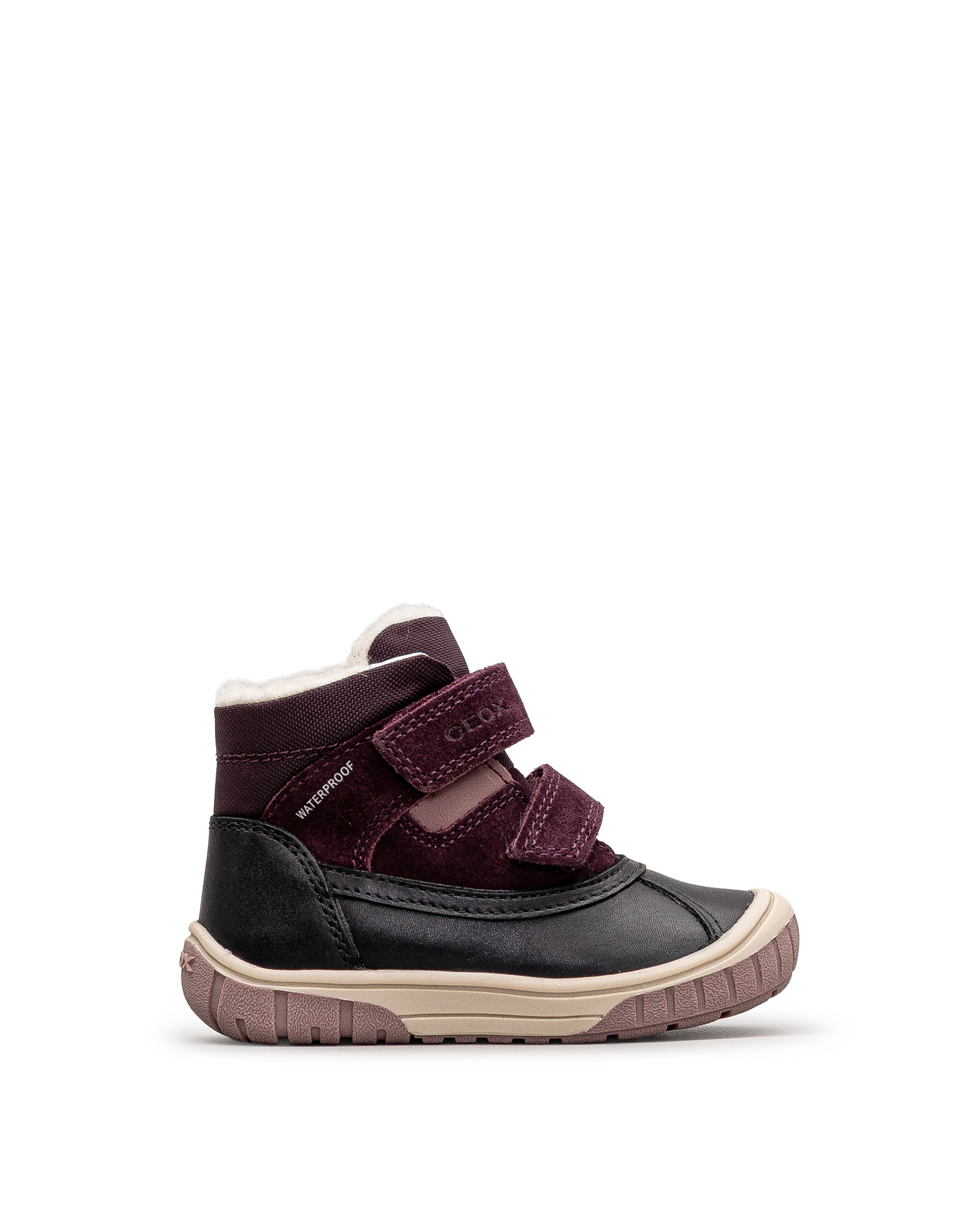 Omar wpf td - Aubergine - #61I-204