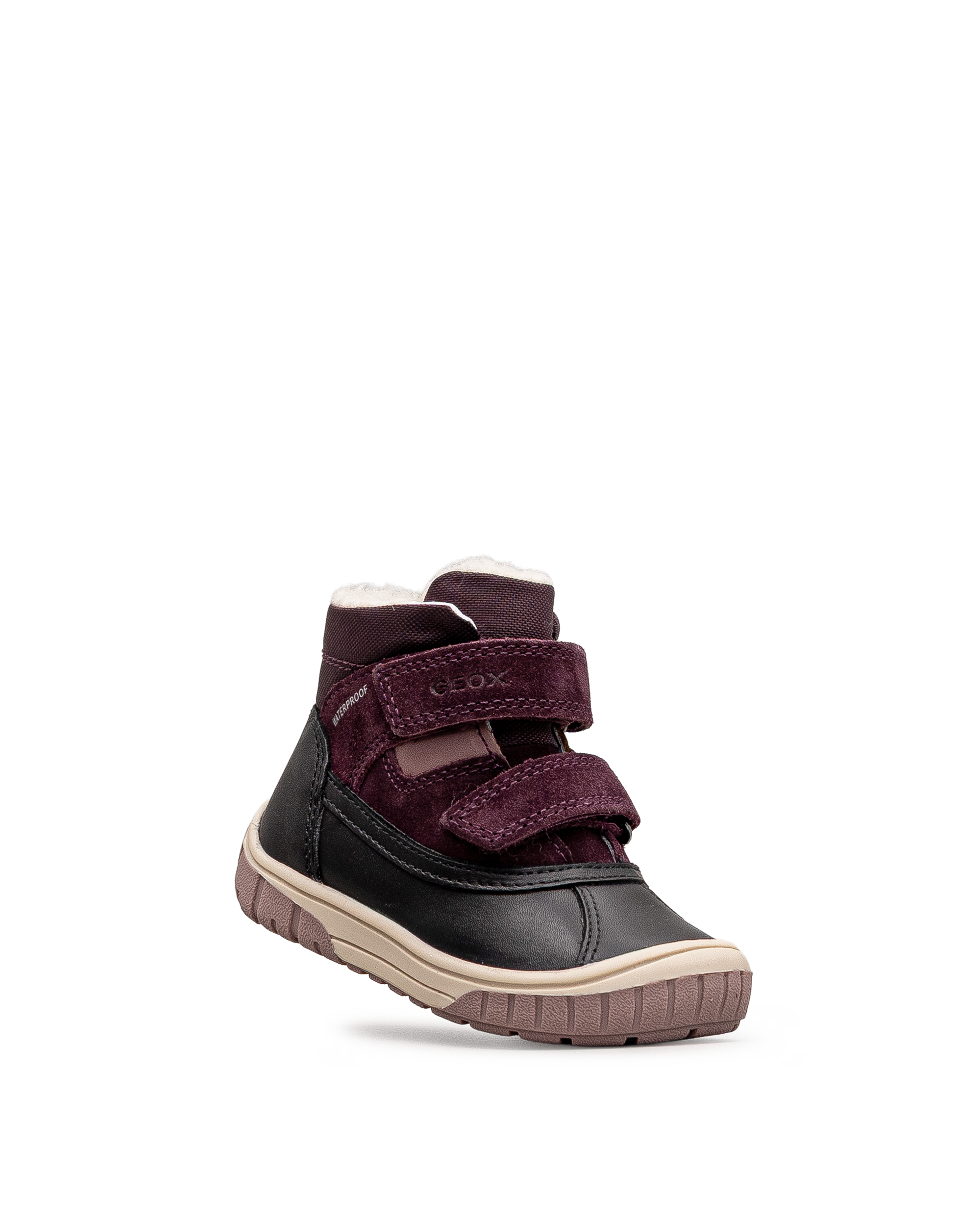 Omar wpf td - Aubergine - #61I-204