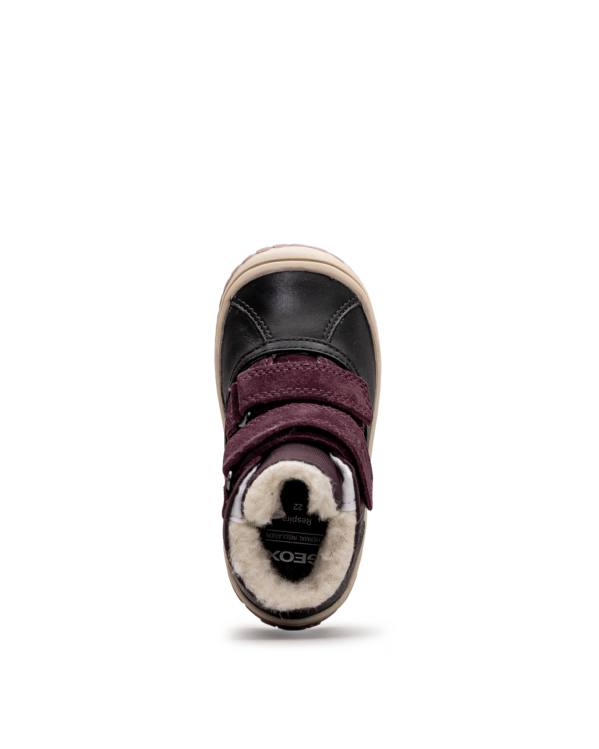 Omar wpf td - Aubergine - #61I-204