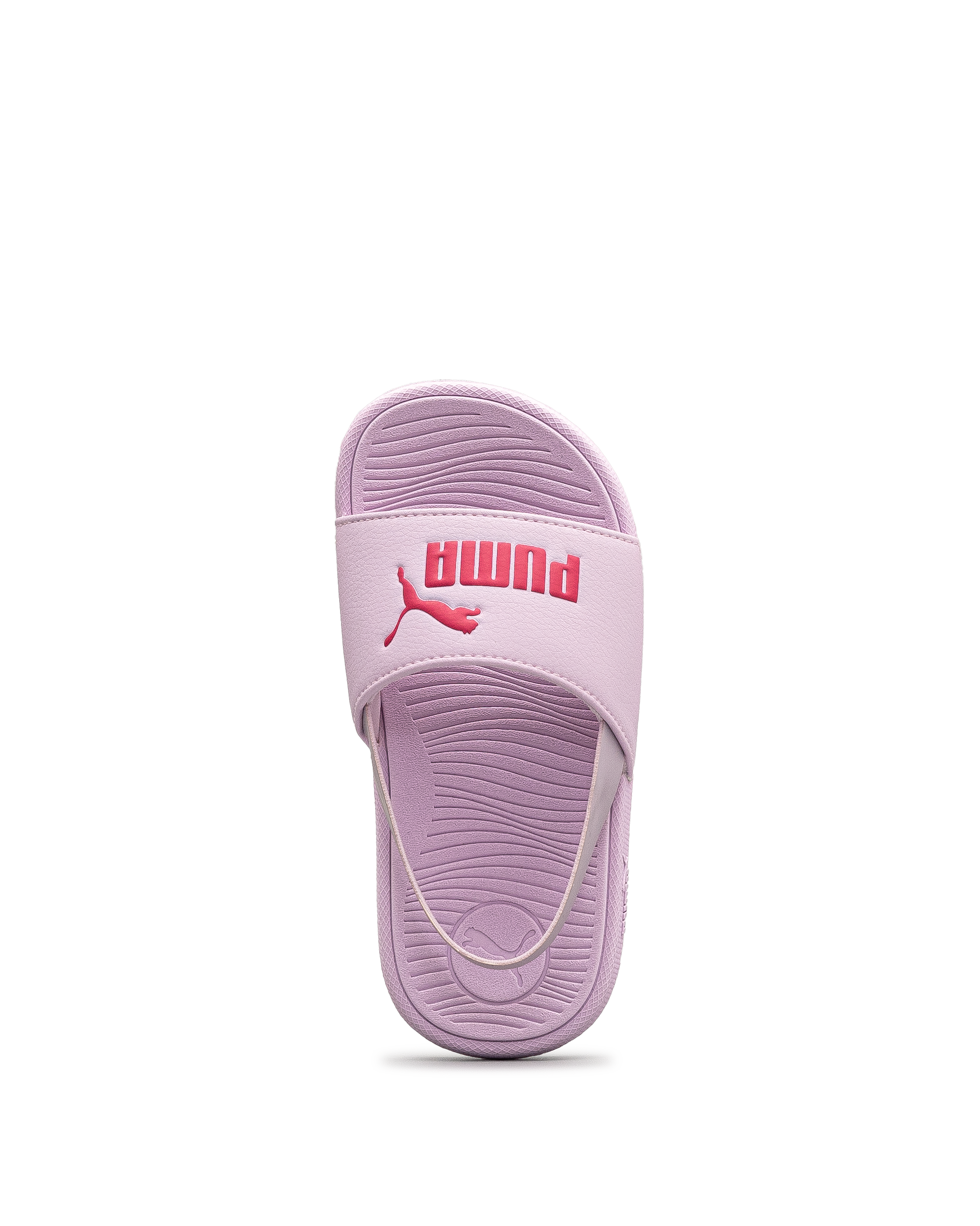 cool cat 2.0 backstrap  - Mauve - #68W-1366