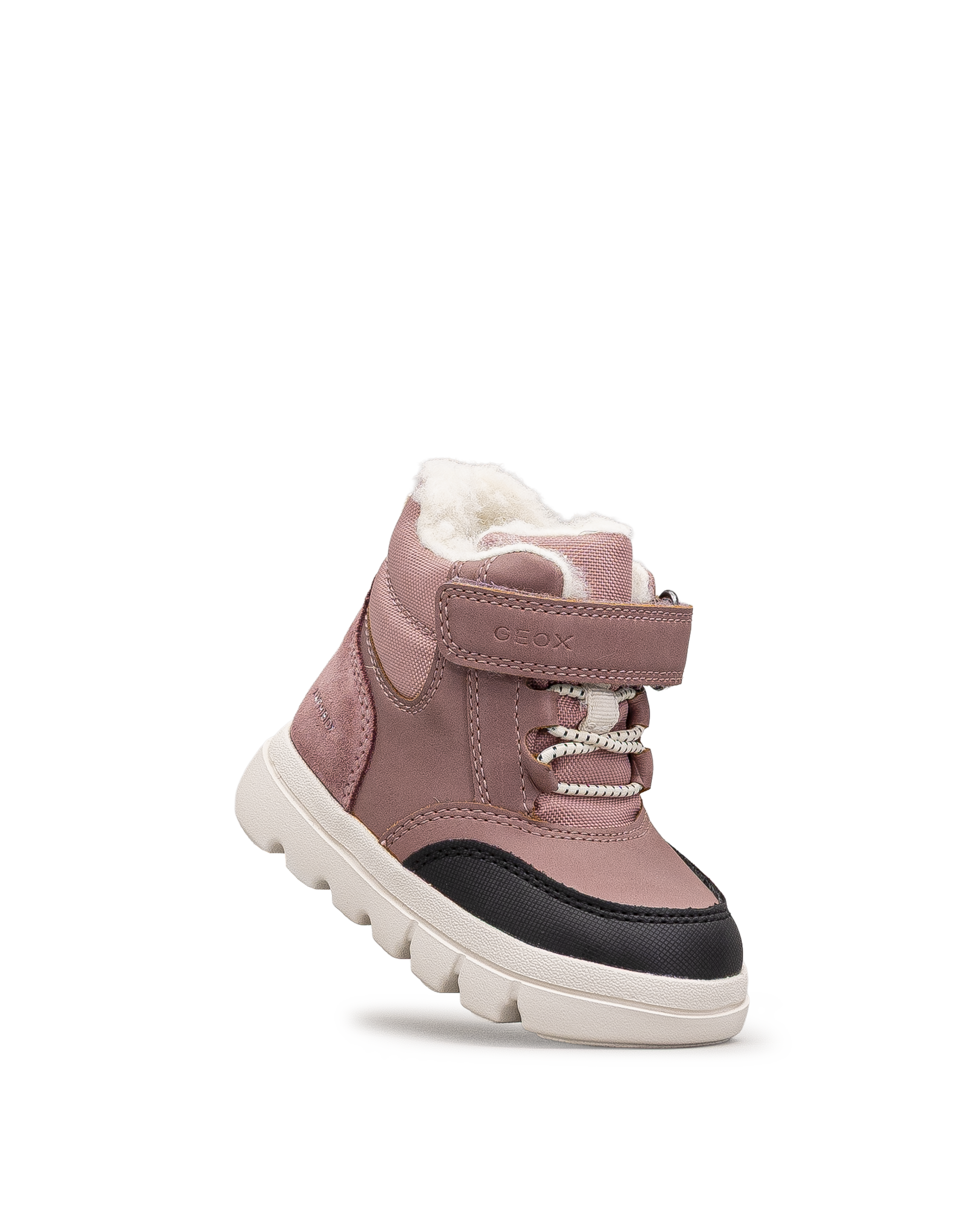 Willaboom b abx td  - Rose - #41Q-05