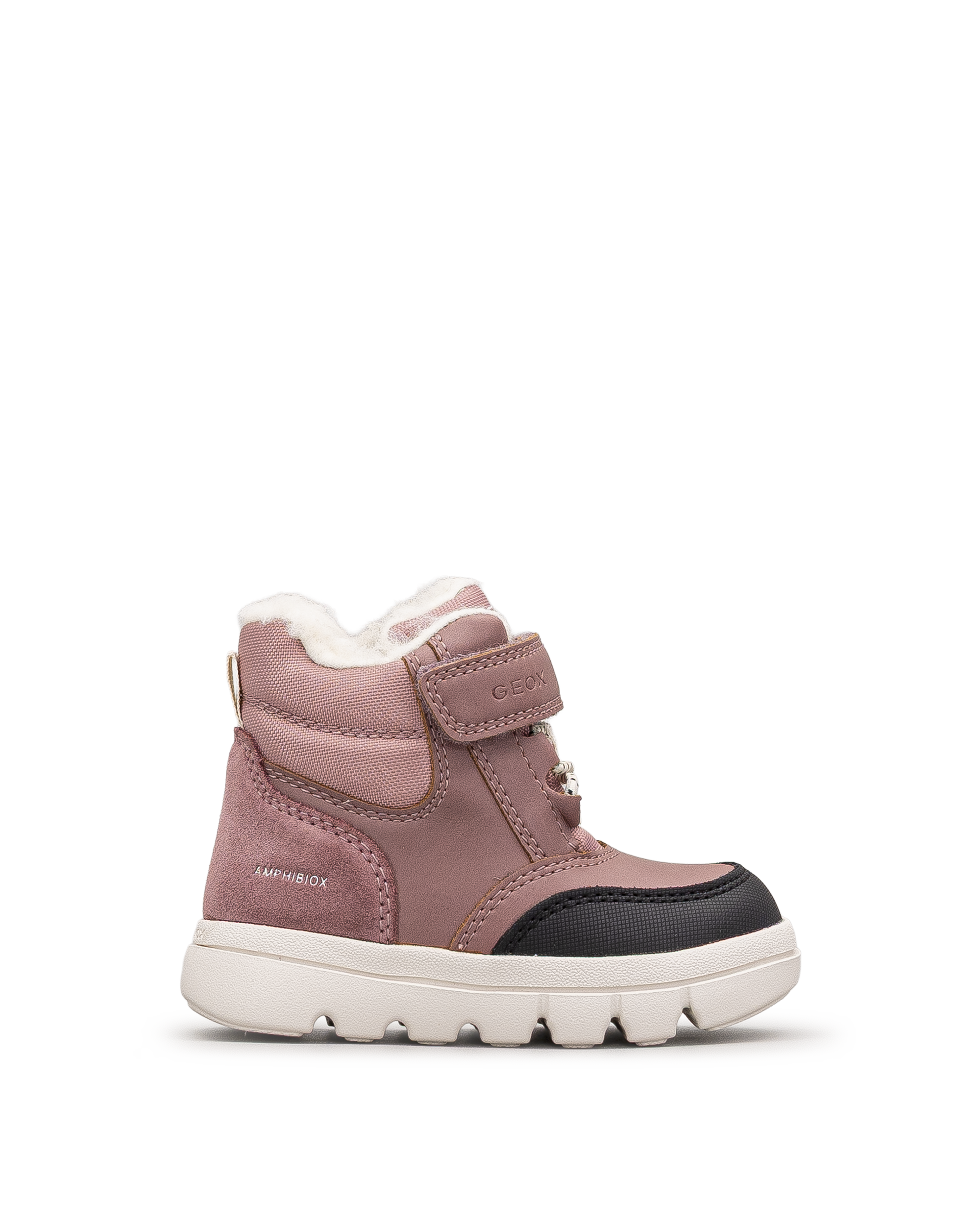 Willaboom b abx td  - Rose - #41Q-05