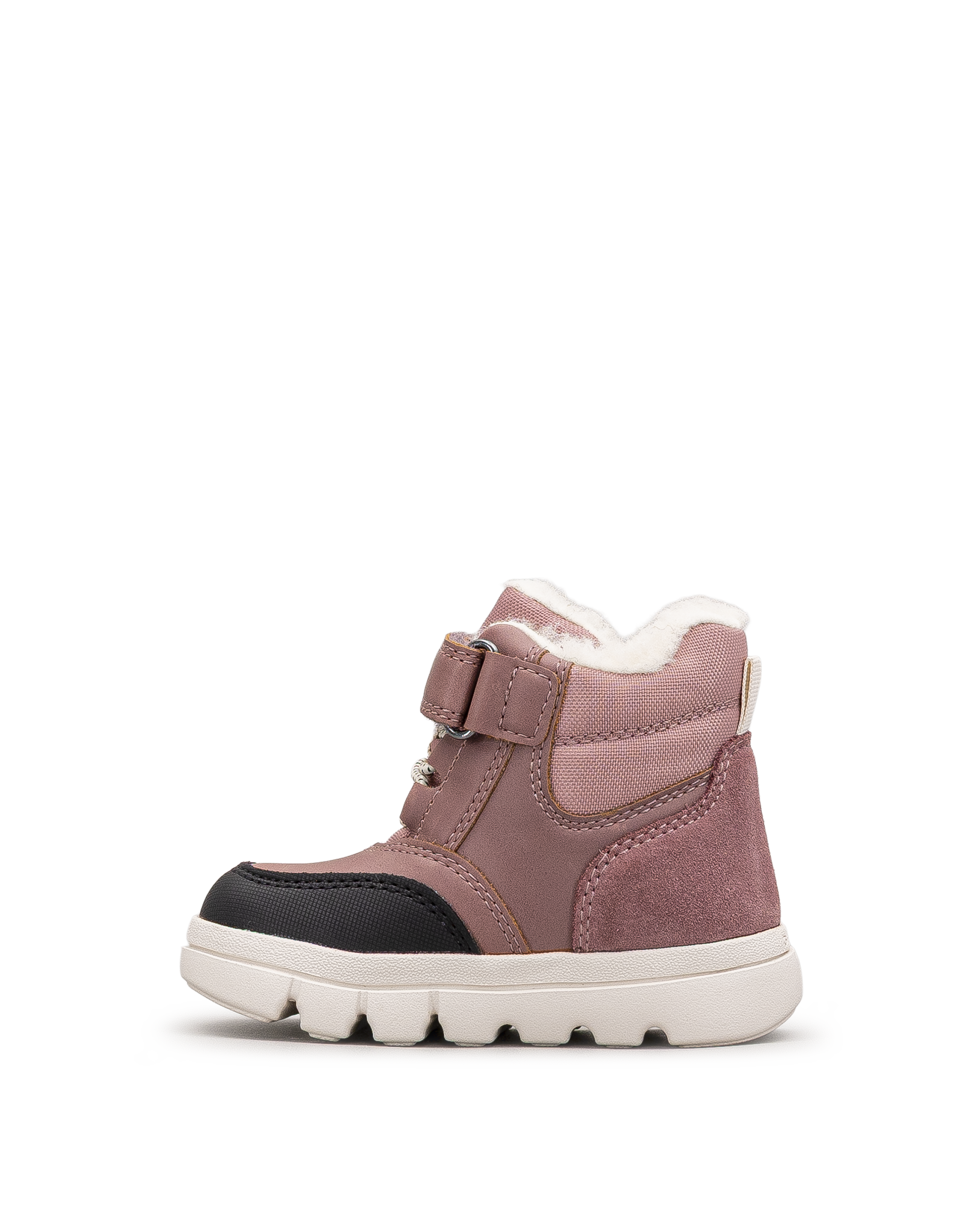Willaboom b abx td  - Rose - #41Q-05