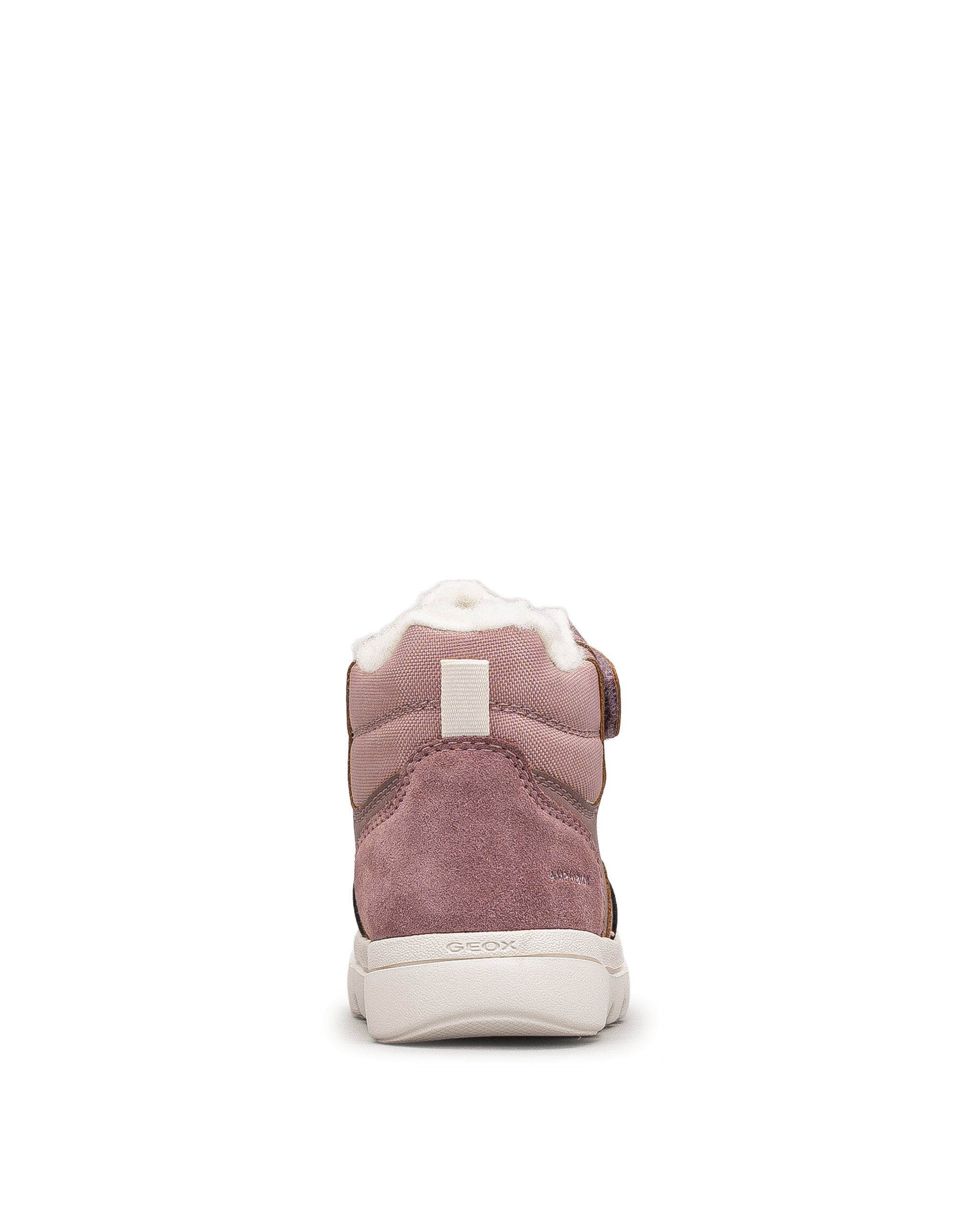 Willaboom b abx td  - Rose - #41Q-05