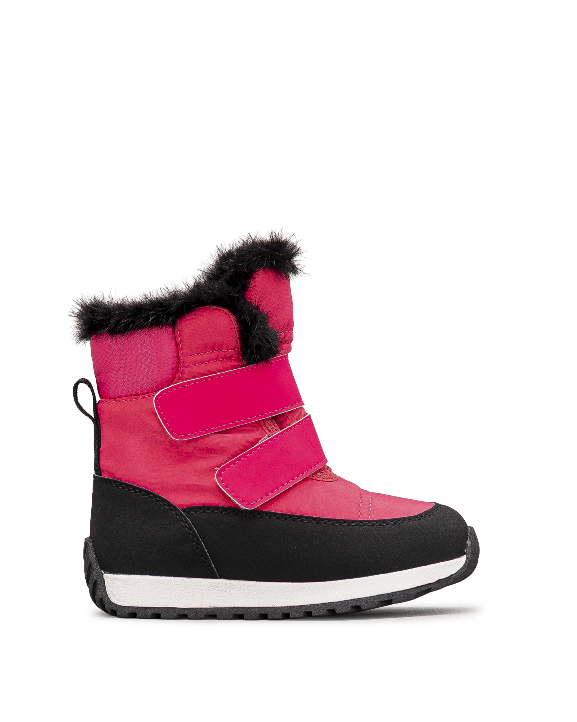 Noah td  - Rose - #41Q-24