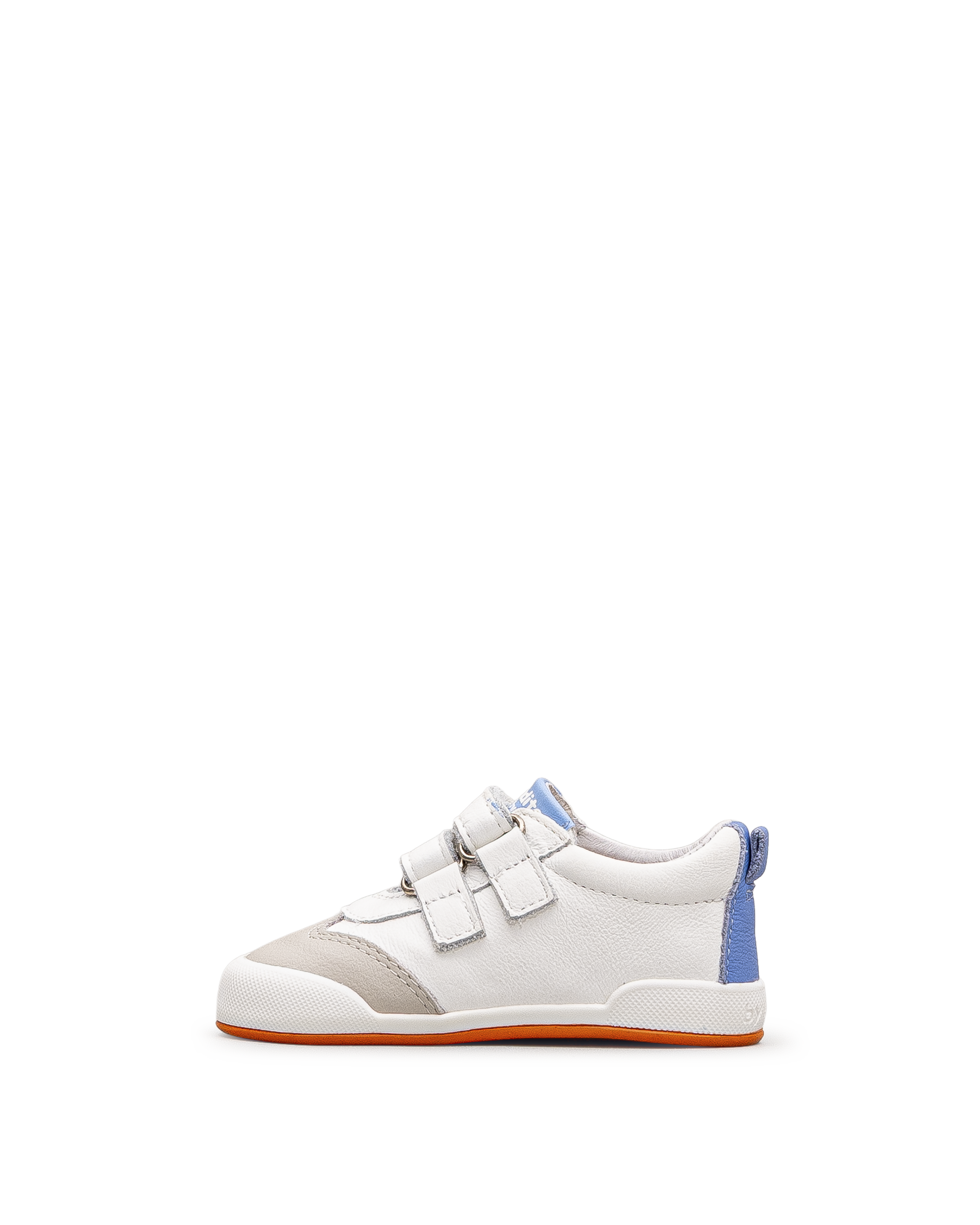 Bologne td - Blanc&bleu - #42W-23