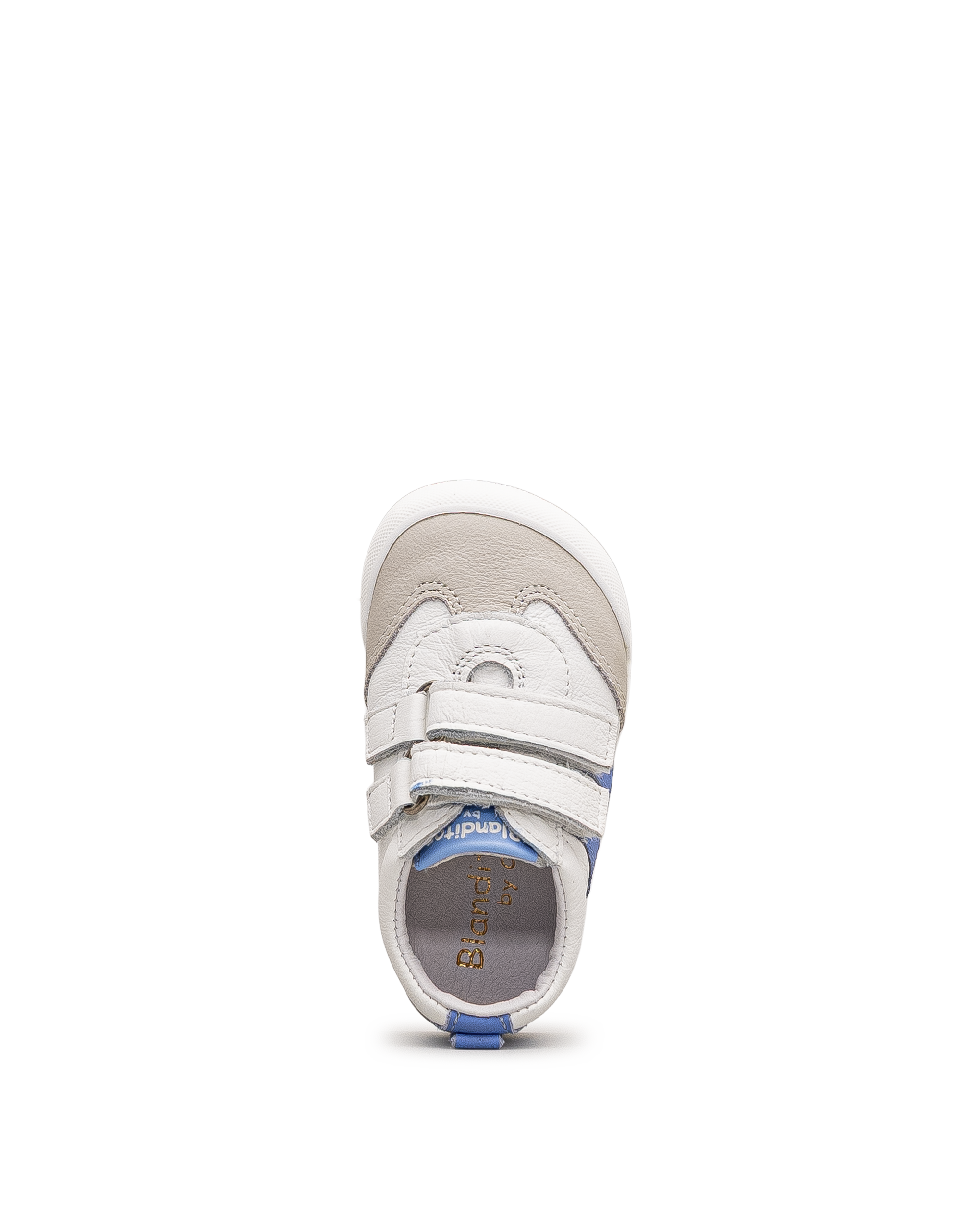 Bologne td - Blanc&bleu - #42W-23