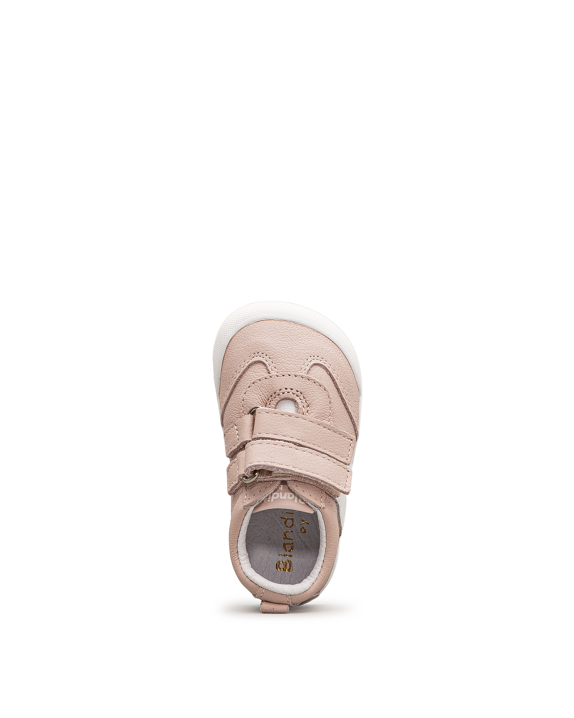 Bologne td - Rose - #42W-23