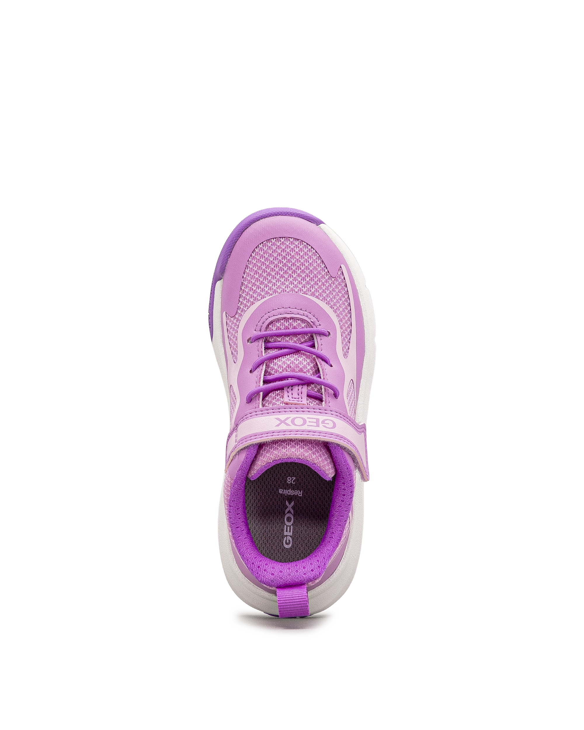 J pro ran ps  - Rose - #43E-112