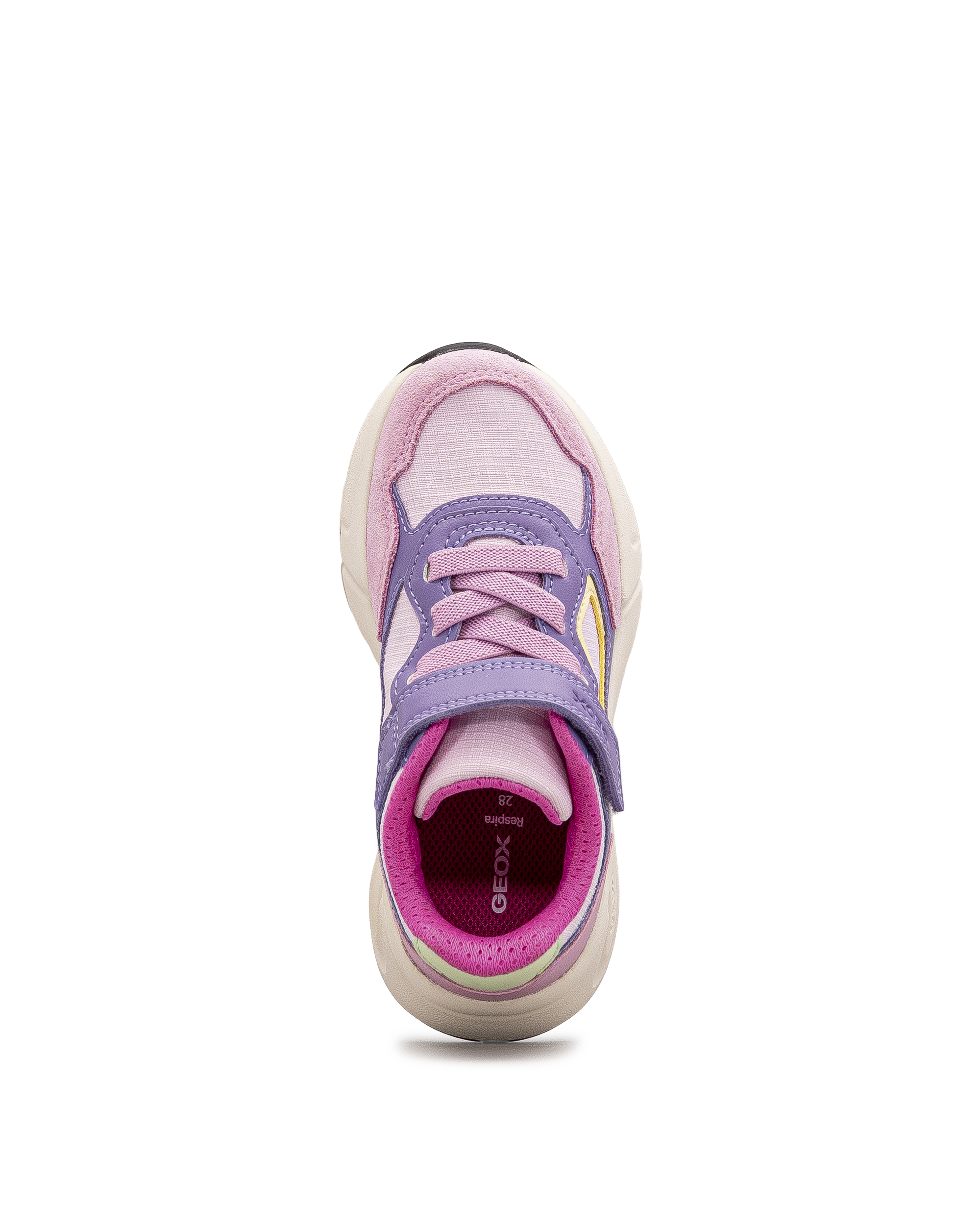 J loftus ps - Mauve/rose - #43E-128
