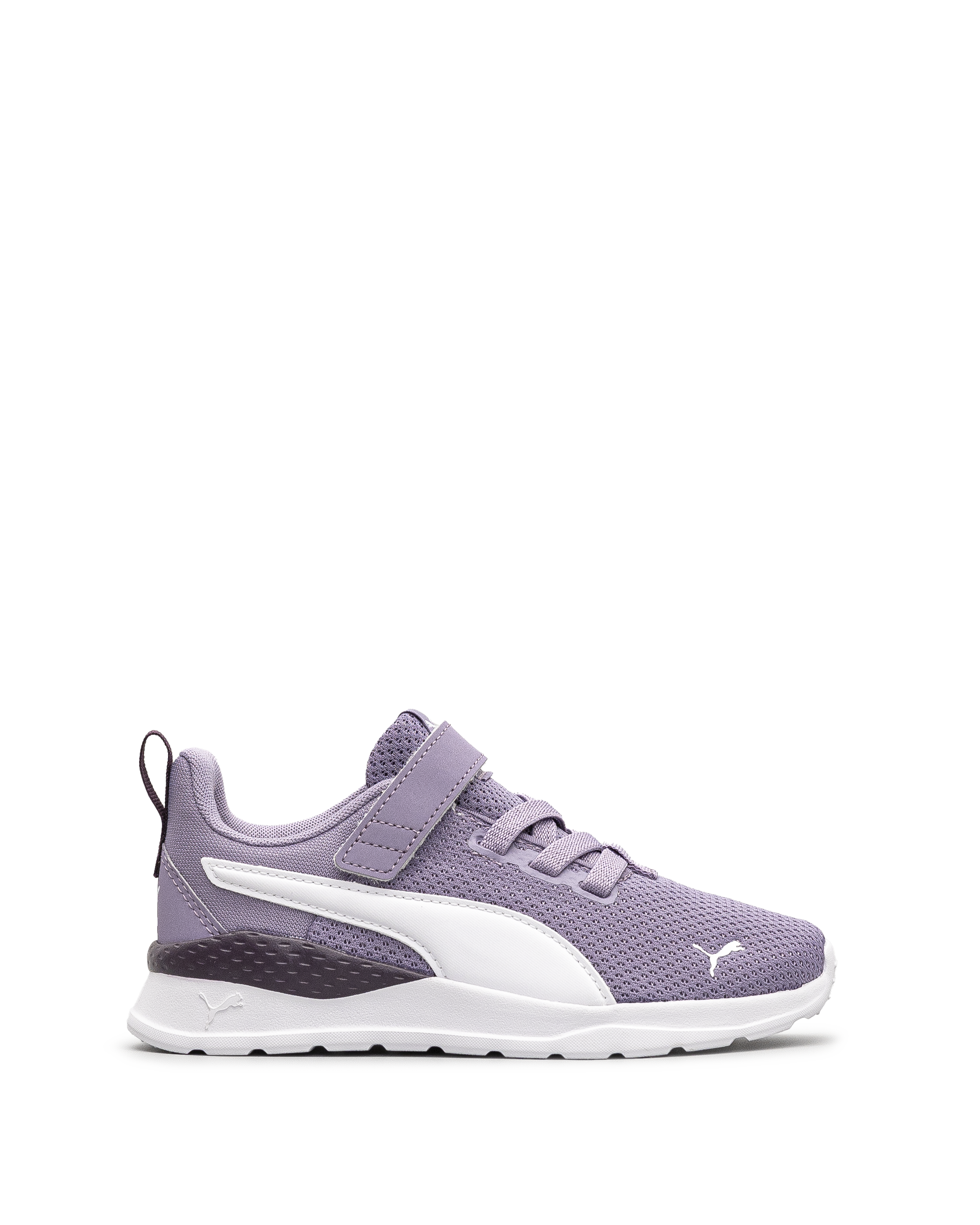 Anzarun lite td - Lilas fonce - #43E-19