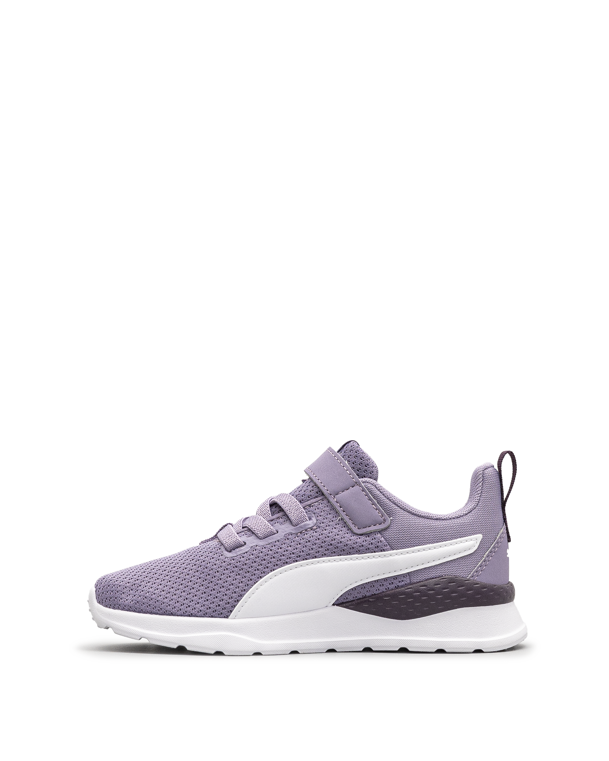 Anzarun lite td - Lilas fonce - #43E-19