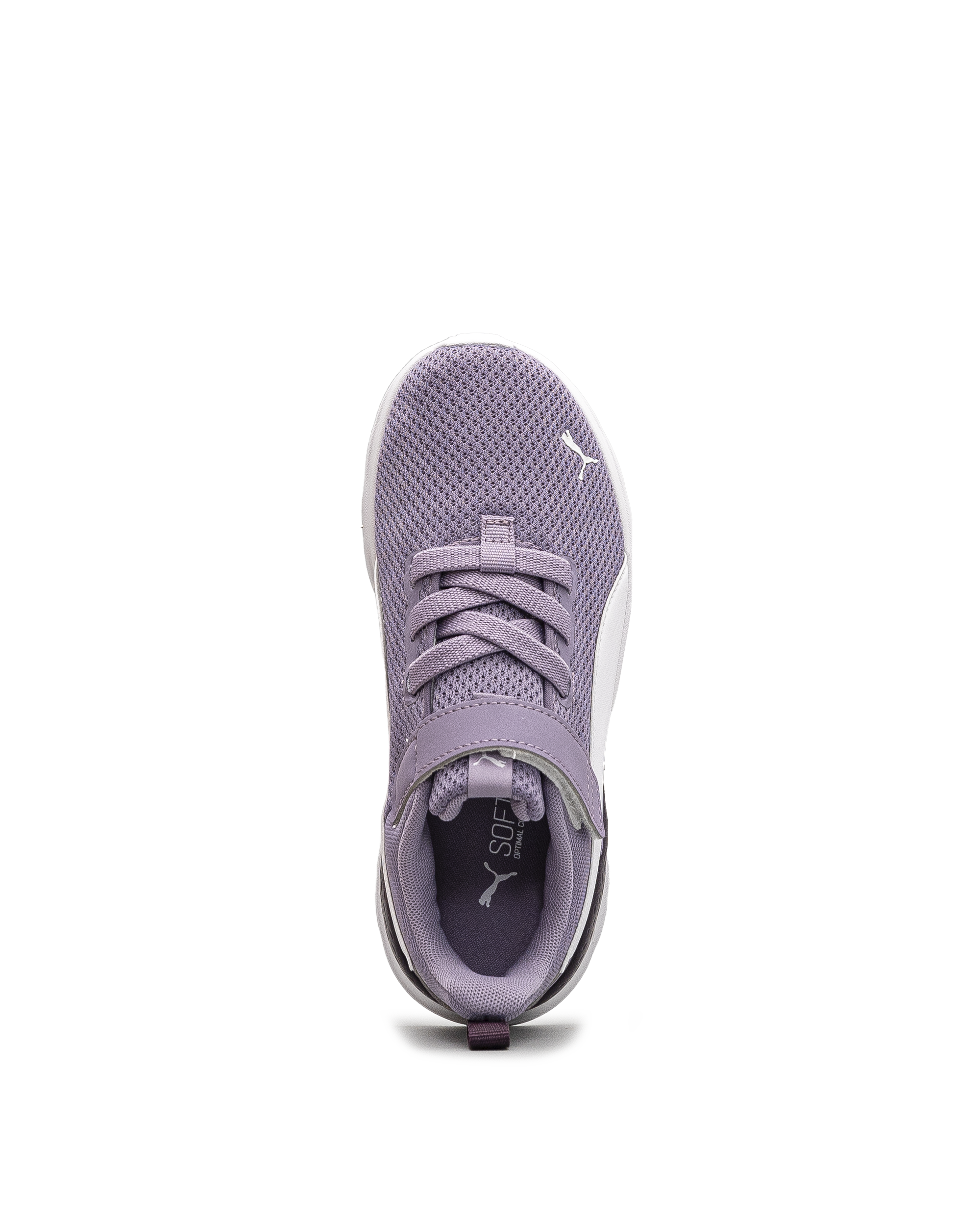 Anzarun lite td - Lilas fonce - #43E-19