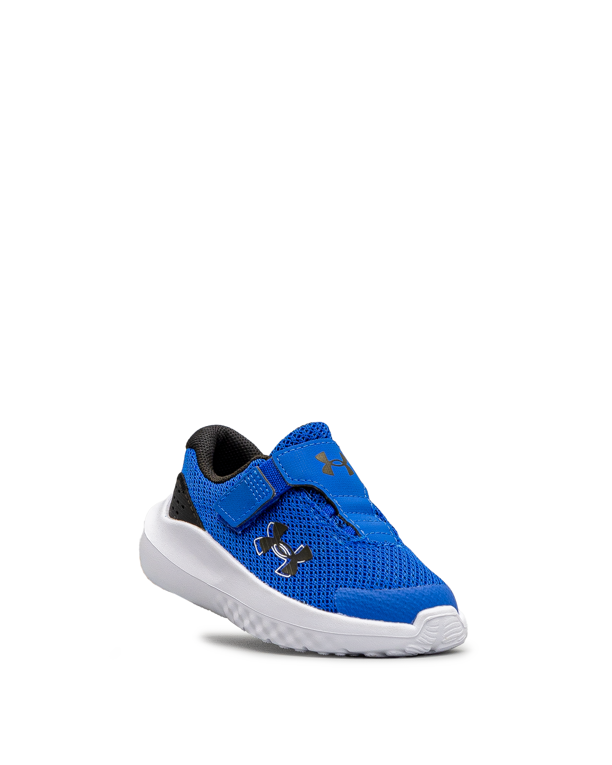 Surge 4ac td  - Bleu - #43E-60