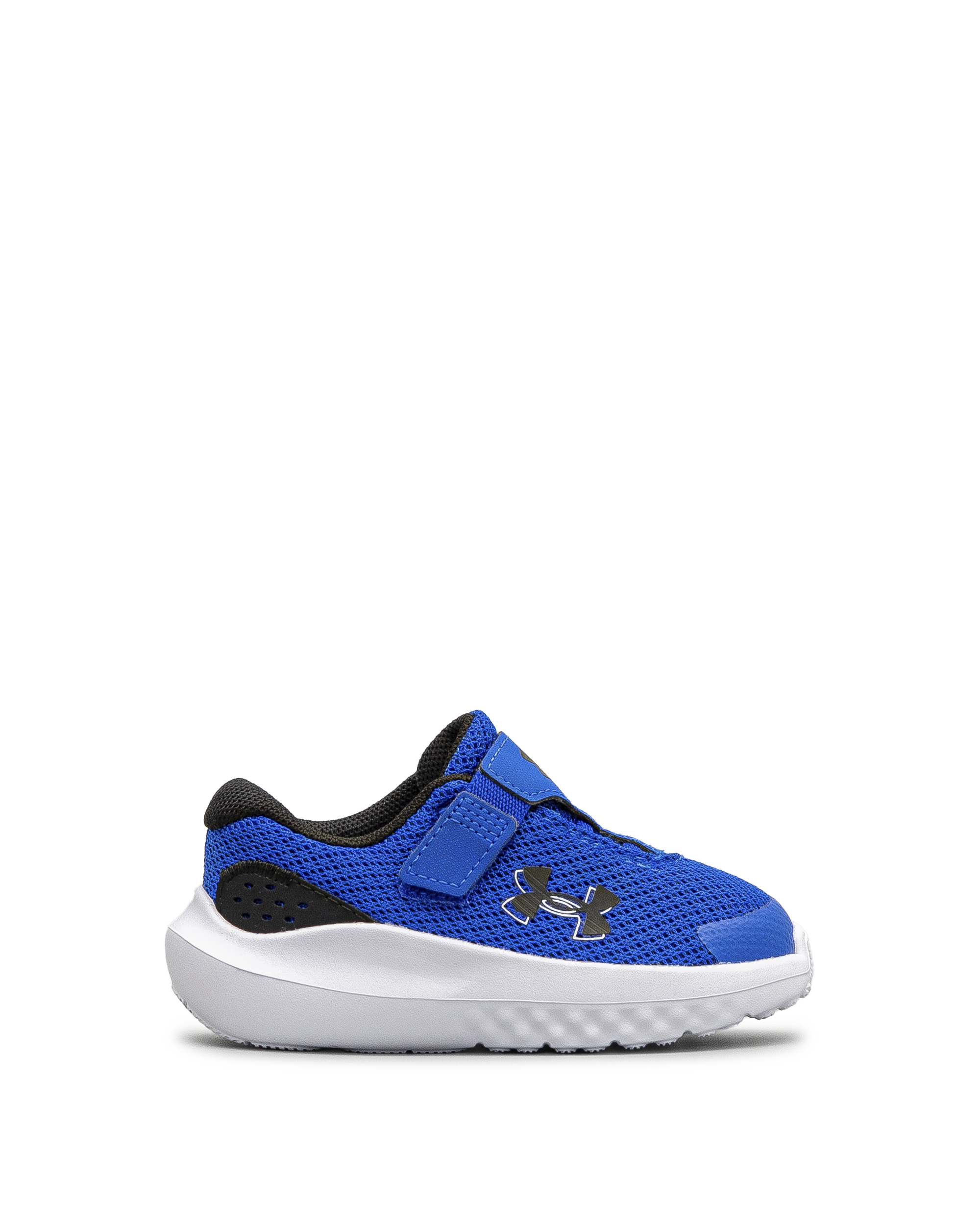 Surge 4ac td  - Bleu - #43E-60