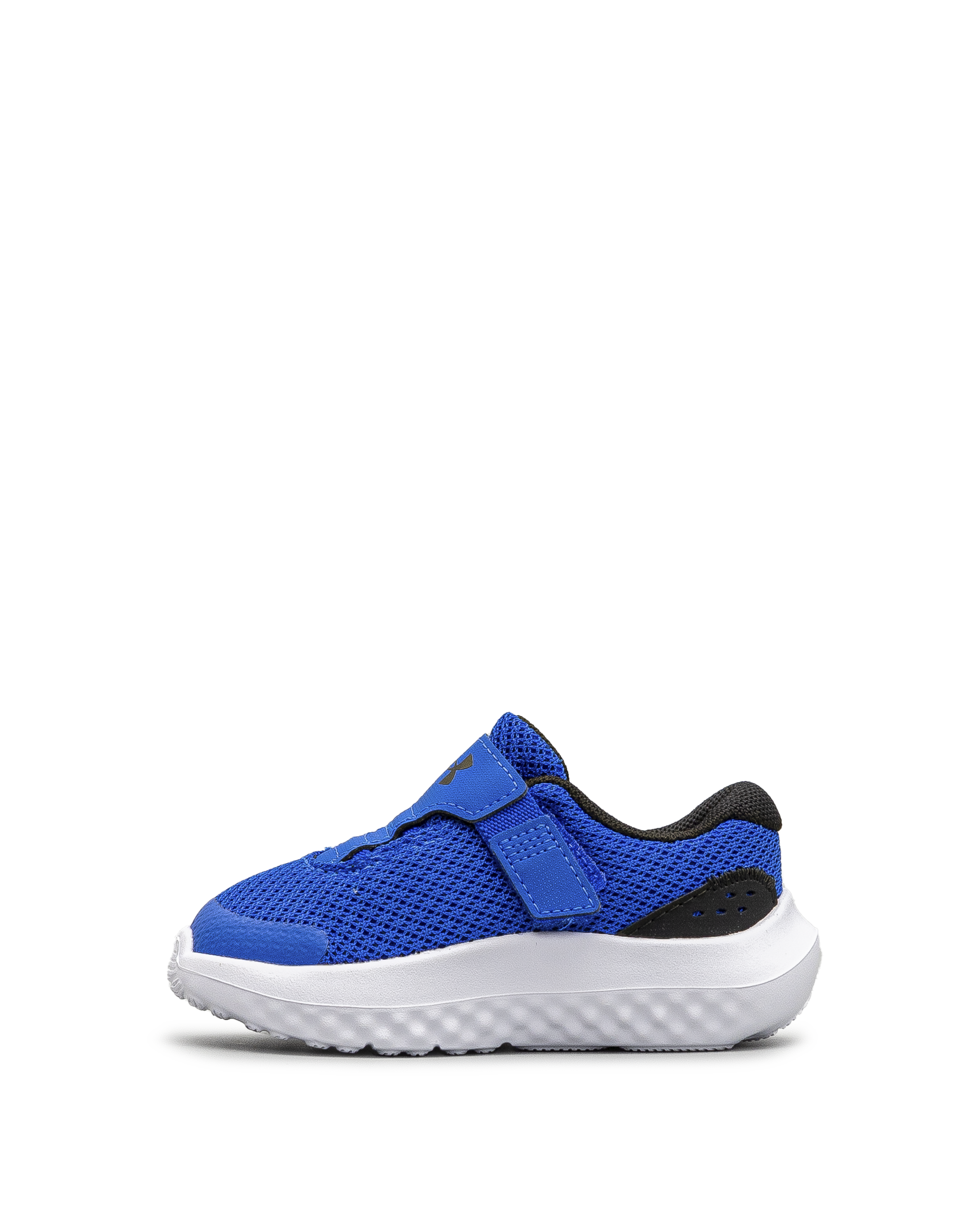 Surge 4ac td  - Bleu - #43E-60