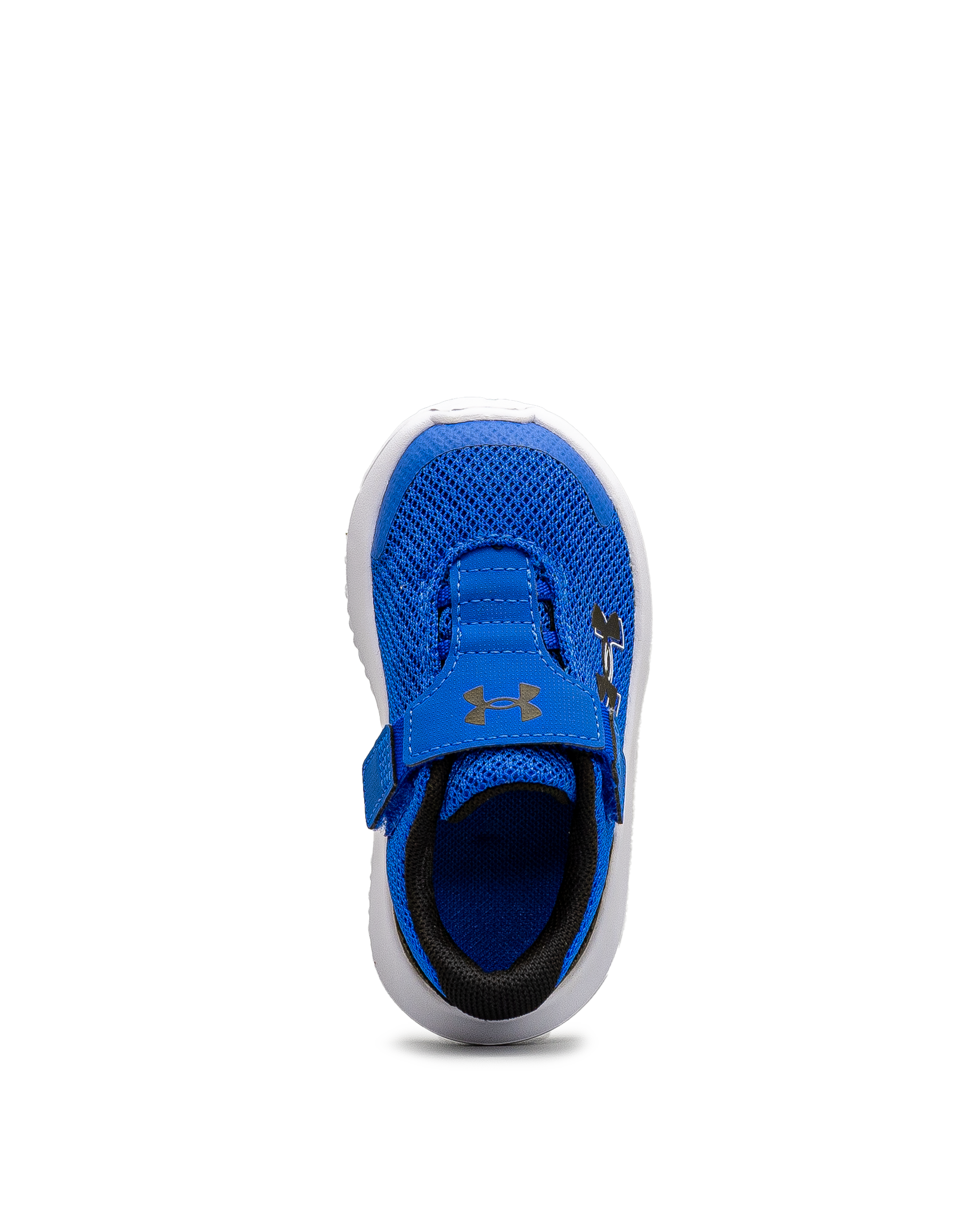 Surge 4ac td  - Bleu - #43E-60