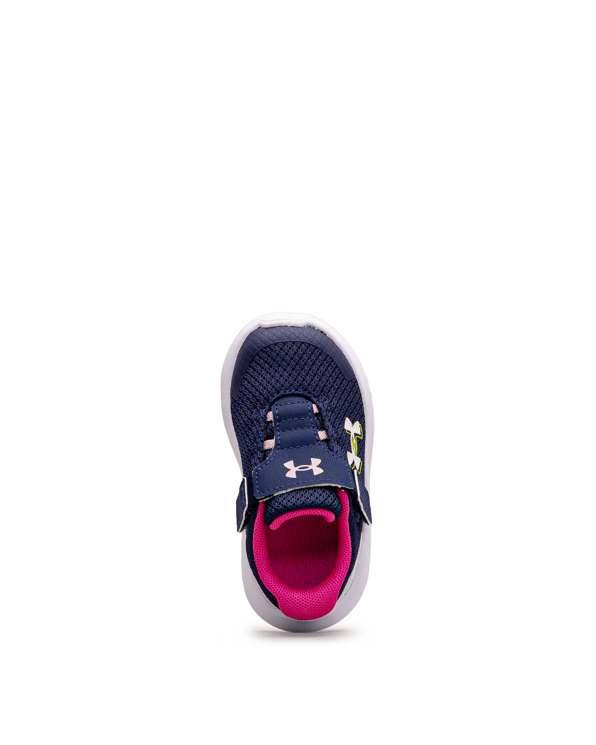 Surge 4ac td  - Navy/pink - #43E-60