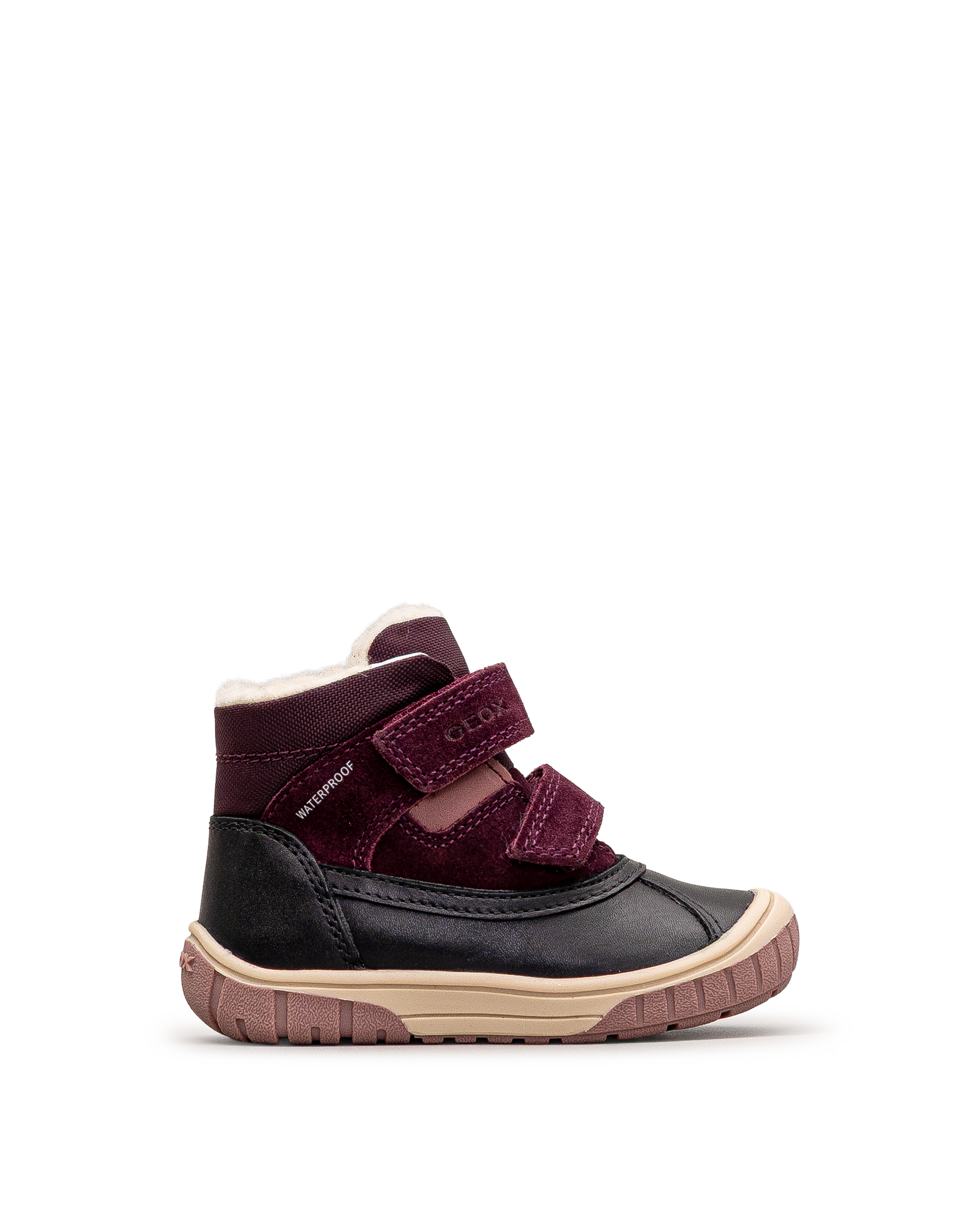 Omar wpf td - Aubergine - #61I-204