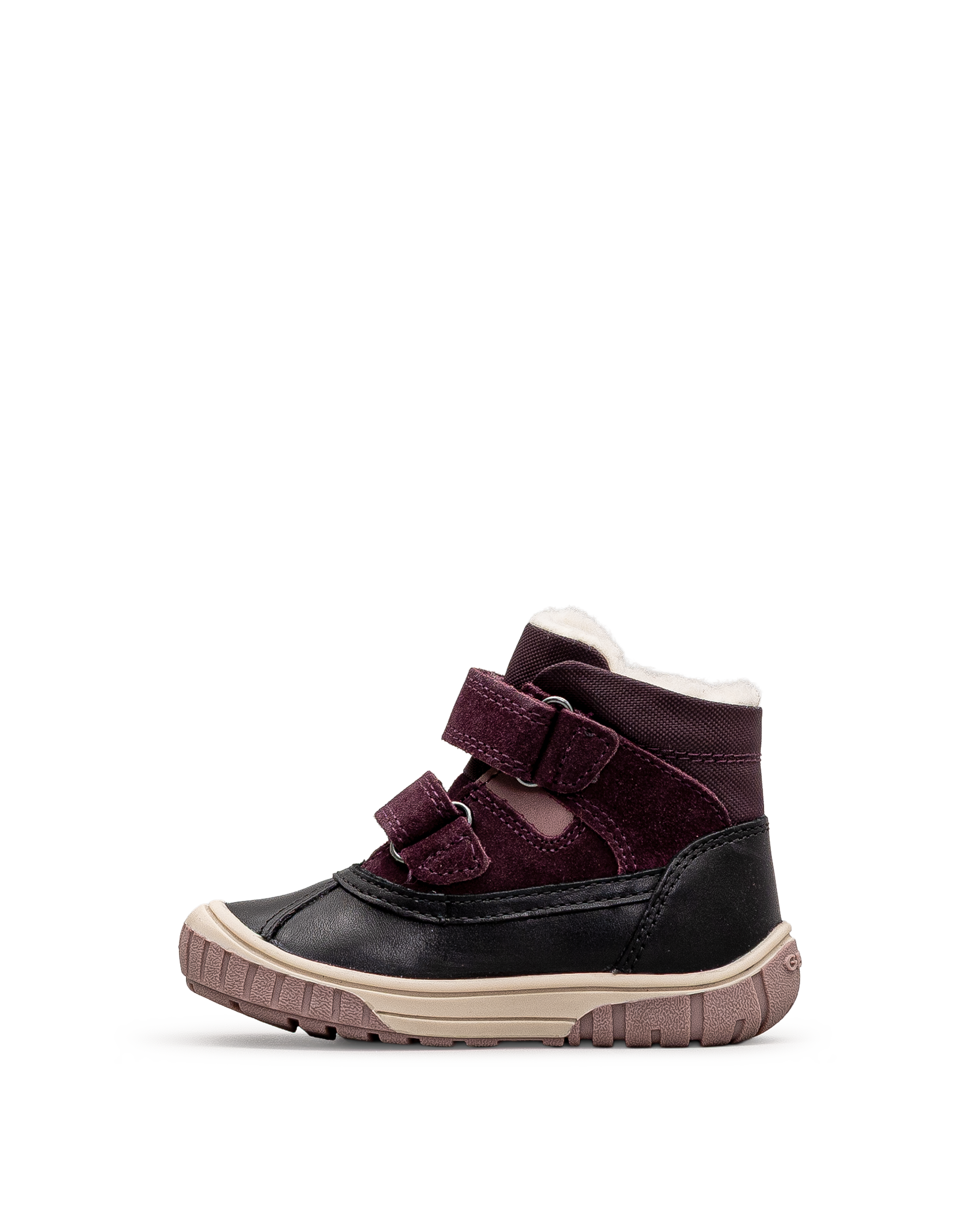 Omar wpf td - Aubergine - #61I-204