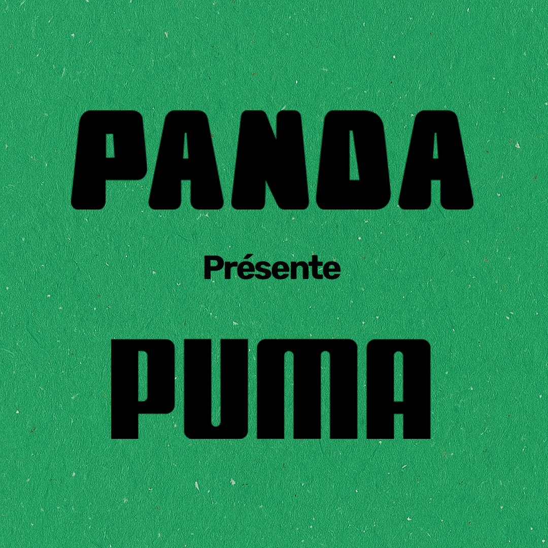 Chaussures Panda